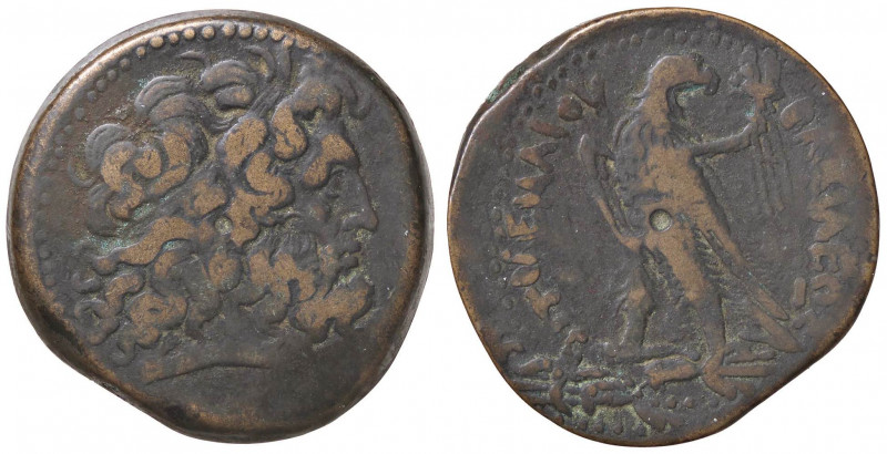GRECHE - RE TOLEMAICI - Tolomeo III, Euergete (246-221 a.C.) - AE 36 - Testa dia...
