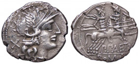 ROMANE REPUBBLICANE - AELIA - P. Aelius Paetus (138 a.C.) - Denario - Testa di Roma a d. /R I Dioscuri a cavallo verso d. B. 3; Cr. 233/1 (AG g. 3,39)...