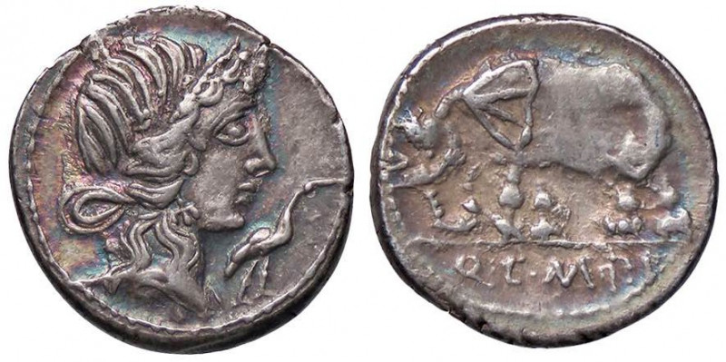 ROMANE REPUBBLICANE - CAECILIA - Q. Caecilius Metellus Pius Imperator (81 a.C.) ...