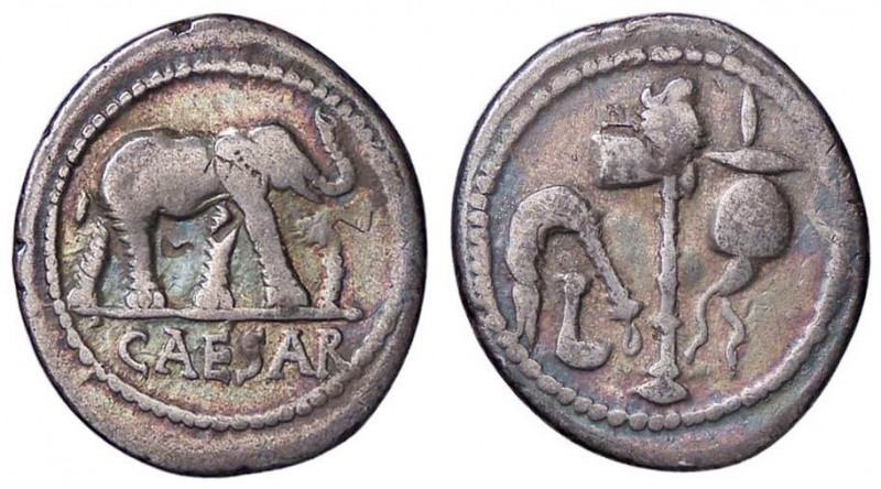 ROMANE IMPERIALI - Giulio Cesare († 44 a.C.) - Denario - Elefante a d. calpesta ...