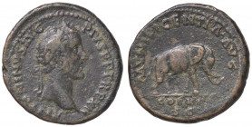 ROMANE IMPERIALI - Antonino Pio (138-161) - Asse - Testa laureata a d. /R Elefante al passo a d. C. 565 (AE g. 12,07)
 
BB+