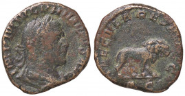 ROMANE IMPERIALI - Filippo I (244-249) - Sesterzio - Busto laureato e drappeggiato a d. /R Leone andante a d. C. 176 (AE g. 16,48)
 
qBB/BB