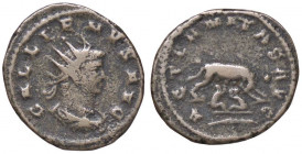 ROMANE IMPERIALI - Gallieno (253-268) - Antoniniano - Busto radiato e drappeggiato a d. /R La lupa a d. allatta i Gemelli; in esergo, una palma (MI g....