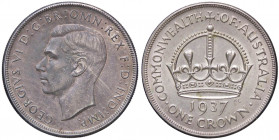 ESTERE - AUSTRALIA - Giorgio VI (1936-1952) - Corona 1937 Kr. 34 AG Segnetti al D/
 Segnetti al D/
SPL/qFDC