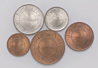 REPUBBLICA ITALIANA - A.F.I.S. (1950-1960) - Serie 1950 Mont. 2-4-6-8-10 5 valori
 5 valori - 
FDC