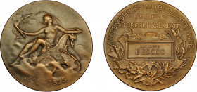 MONEDAS EXTRANJERAS. FRANCIA. Medalla. 1895. Grabador: Daniel-Dupois. En su estuche. SC.
