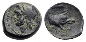 Apulia, Arpi, 325 - 275 BC, AE15