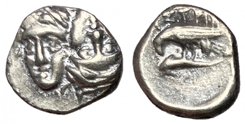 Moesia, Istros, 313 - 280 BC
Silver Trihemiobol, 12mm, 1.23 grams
Obverse: Two...