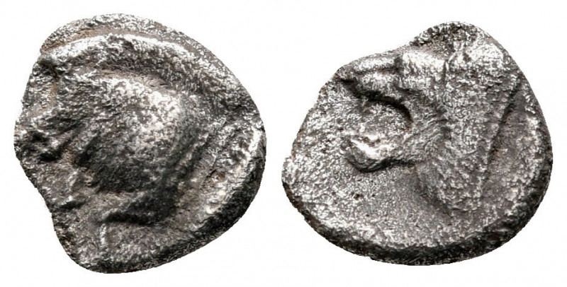 Mysia, Kyzikos, 450 - 400 BC
Silver Obol, 10mm, 0.81 grams
Obverse: Forepart o...