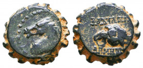 Seleukid Kings, Demetrios I, Soter, 162 - 150 BC, AE16