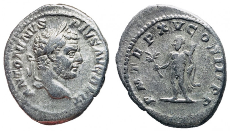 Caracalla, 198 - 217 AD
Silver Denarius, Rome Mint, 21mm, 3.78 grams
Obverse: ...