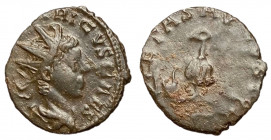 Tetricus II, 271 - 274 AD, Antoninianus of Colonia Agrippinensis, Sacrificial Implements