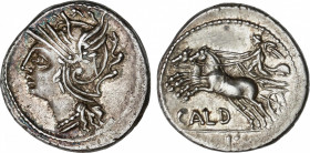 Coelia o Coilia
Denario. 104 a.C. COELIA o COILIA. C. Coelius Caldus. Anv.: Cabeza de Roma a izquierda. Rev.: Victoria en biga a izquierda, debajo CA...