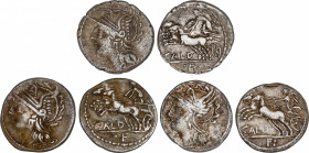 Coelia o Coilia
Lote 3 monedas Denario. 104 a.C. COELIA o COILIA. C. Coelius Caldus. AR. Las tres tipo reverso Victoria en biga a izquierda, debajo C...