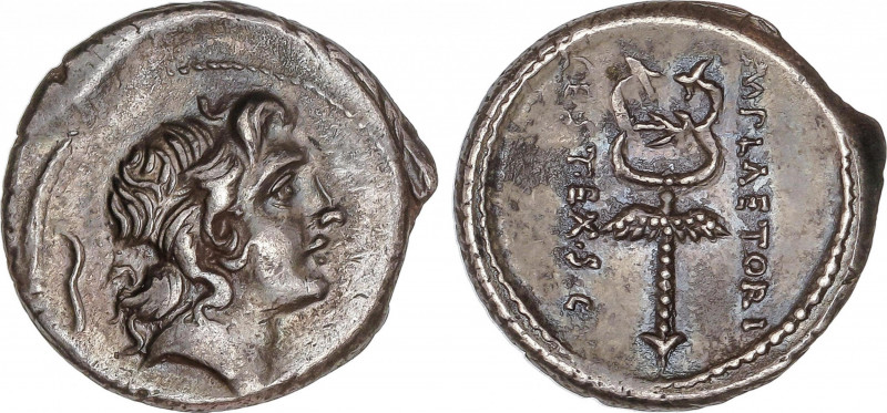 Plaetoria
Denario. 69 a.C. PLAETORIA. M. Plaetorius M.f. Cestianus. Anv.: Cabez...