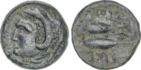 As. 100-20 a.C. GADES (CÁDIZ). Anv.: Cabeza de Hércules con piel de león a izquierda, detrás clava. Rev.: Dos atunes a izquierda, arriba y abajo leyen...