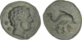 Sextante. 120-20 a.C. CESE (TARRAGONA). Anv.: Cabeza masculina a derecha, detrás dos glóbulos. Rev.: Delfín a derecha, debajo leyenda ibérica CeSE. 2,...