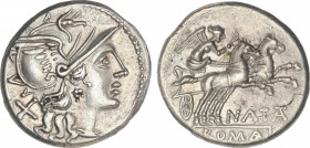 Republic
Denario. 149 a.C. PINARIA. Pinarius Natta. Anv.: Cabeza de Roma a derecha, detrás X. Rev.: Victoria en biga a derecha, debajo NATTA. En exer...