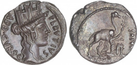 Republic
Denario. 55 a.C. PLAUTIA. A. Plautius. Anv.: Cabeza de Cibeles a derecha. A. PLAVTIVS AED CVR S.C. Rev.: Bacchius de rodillas sosteniendo un...