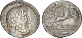 Republic
Denario. 89 a.C. TITURIA. L. Titurius L.f. Sabinus. Anv.: Cabeza del rey Tatius a derecha, detrás SABIN. Rev.: Victoria con corona en biga a...