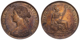 ENGLAND VICTORIA HALF PENNY 1861 CU. 5,72 GR. SPL-FDC