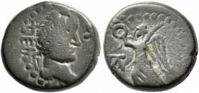 TAURIC CHERSONESOS. Chersonesos. Late 1st century BC-early 1st century AD. AE (Bronze, 17 mm, 5.23 g, 5 h), time of Nero, circa 54-68. XEb Laureate he...