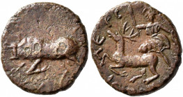 TAURIC CHERSONESOS. Chersonesos. AE (Bronze, 18.5 mm, 3.61 g, 7 h), time of Septimius Severus, circa 198-209. [ЄΛЄΥΘЄΡΑΑC] Bull butting left. Rev. ΧЄΡ...