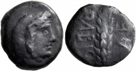 SKYTHIA. Olbia. Circa 240-230 BC. AE (Bronze, 17 mm, 3.21 g, 3 h). Veiled head of Demeter to right, wearing wreath of grain ears. Rev. ΟΛΒΙΟ / AE (?) ...