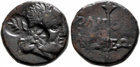 SKYTHIA. Olbia. Circa 80-70 BC. AE (Bronze, 17 mm, 5.77 g, 12 h). Laureate head of Zeus to right; two countermarks: branch and star within circular in...