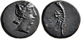SKYTHIA. Olbia (?). Circa mid 1st century AD. AE (Bronze, 12 mm, 1.78 g, 12 h). Female head to right. Rev. Wreath and palm frond. Anokhin 518. HGC 3.2...