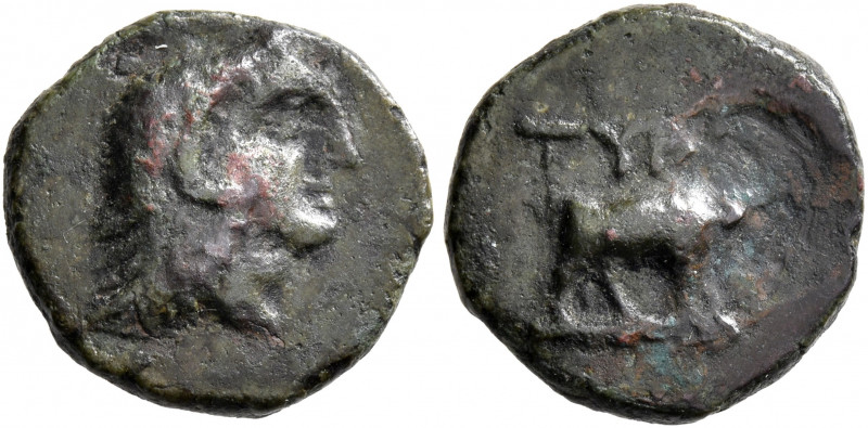 SKYTHIA. Tyra. Circa 350-300 BC. AE (Bronze, 15 mm, 2.39 g, 1 h). Head of Herakl...