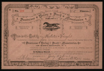 Pawtuxet Valley Park Assoc., 1891. I/U Baseball Related Stock Certificate