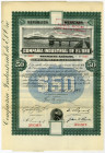 Compania Industrial de el Oro (Industrial Gold Company) 1907 Specimen Share Certificate.