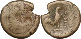 Greek Italy. Samnium, Southern Latium and Northern Campania, Cales. AE 20 mm. Reverse Brockage, c. 265-240 BC. Obv. Incuse of reverse. Rev. CALENO. Co...