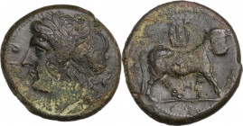 Greek Italy. Samnium, Southern Latium and Northern Campania, Cales. AE 20.5 mm. c. 265-240 BC. Obv. [CALE]NO. Laureate head of Apollo left; dolphin do...