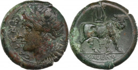 Greek Italy. Samnium, Southern Latium and Northern Campania, Cales. AE 20.5 mm. c. 265-240 BC. Obv. CALENO. Laureate head of Apollo left; uncertain sy...