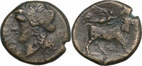 Greek Italy. Samnium, Southern Latium and Northern Campania, Teanum Sidicinum. AE 19.5 mm. c. 265-240 BC. Obv. Laureate head of Apollo left; in front,...