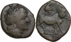 Greek Italy. Central and Southern Campania, Neapolis. AE Obol, c. 300-275 BC. Obv. Laureate head of Apollo right. Rev. Man-headed bull right, head fac...