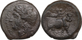 Greek Italy. Central and Southern Campania, Neapolis. AE 19.5 mm. c. 270-250 BC. Obv. NEOΠOΛITΩN. Laureate head of Apollo left. Rev. Man-headed bull s...