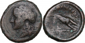 Greek Italy. Central and Southern Campania, Nuceria Alfaterna. AE 17 mm. 250-225 BC. Obv. Male head left. Rev. Oscan legend ALAFATERNVM. Hound right. ...