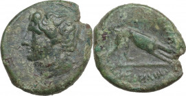 Greek Italy. Central and Southern Campania, Nuceria Alfaterna. AE 16.5 mm. 250-225 BC. Obv. Male head left. Rev. Oscan legend ALAFATERNVM. Hound right...