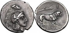 Greek Italy. Northern Lucania, Velia. AR Didrachm, c. 305-290 BC. Obv. Head of Athena right wearing Attic helmet decorated with wing and wreath; behin...