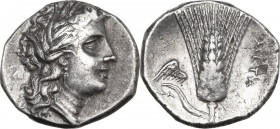 Greek Italy. Southern Lucania, Metapontum. AR Stater, c. 280 BC. Obv. Head of Demeter right, wearing barley-wreath, earring and necklace. Rev. META. B...