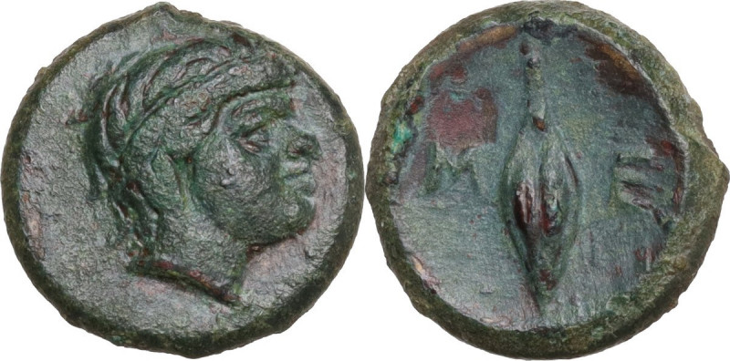 Greek Italy. Southern Lucania, Metapontum. AE 13 mm. c. 320-300 BC. Obv. Head of...