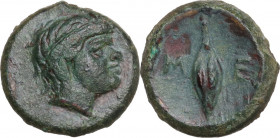 Greek Italy. Southern Lucania, Metapontum. AE 13 mm. c. 320-300 BC. Obv. Head of Demeter right, wreathed with grain. Rev. M-E to left and right of bar...