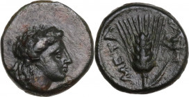 Greek Italy. Southern Lucania, Metapontum. AE 10.5 mm. 300-250 B.C. Obv. Head of Dionysos right, wearing ivy-wreath. Rev. META. Barley ear with leaf t...
