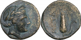 Greek Italy. Southern Lucania, Metapontum. AE 15 mm. c. 300-250 BC . Obv. Head of Demeter right, wearing barley-wreath. Rev. META. Barley-ear with lea...