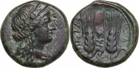 Greek Italy. Southern Lucania, Metapontum. AE 16.5 mm. c. 225-200 BC. Obv. Head of Demeter right, wearing wreath of barley ears. Rev. META. Two ears o...