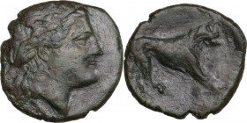 Greek Italy. Bruttium, Rhegion. AE 15 mm, 260-215 BC. Obv. Laureate head of Apollo right. Rev. Lion right. HN Italy 2545; SNG ANS 727-8. AE. 2.26 g. 1...