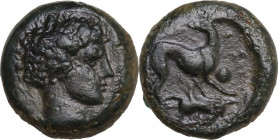 Sicily. Eryx. AE Onkia, c. 412-409 BC. Obv. Bare male head right. Rev. Hound right, head left; pellet (mark of value) before, inverted hare below, [EP...